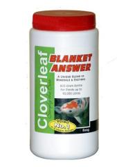  Cloverleaf Blanket Answer All Season 800g