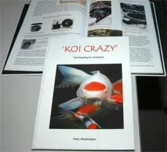  Koi Crazy - Peter Waddington